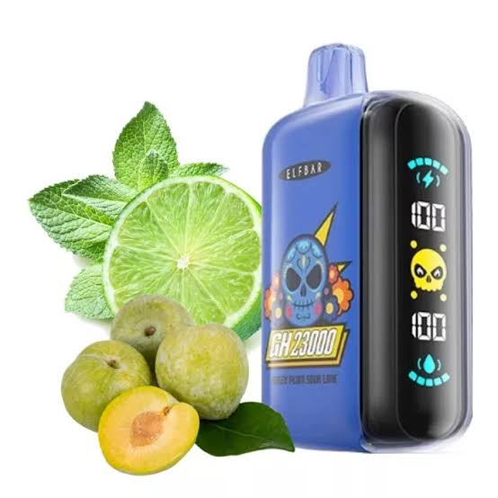 A Complete Guide to Elf Bar GH 23000 Disposable Vape and Its Advanced Features